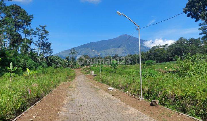 Tanah Kavling Lawang View Gunung Arjuna Malang 1