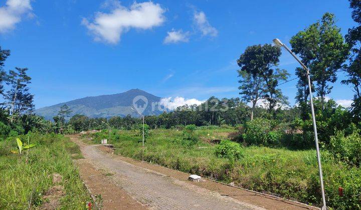 Tanah Lawang Malang Arah Kebun Teh View Gunung 1