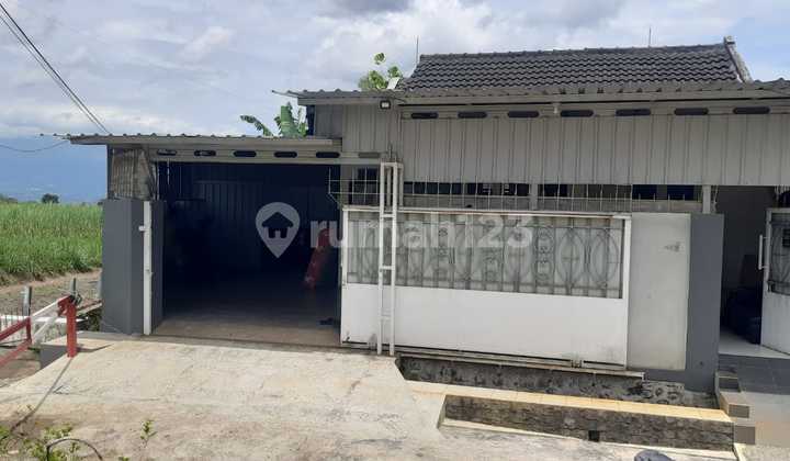 Rumah Murah SHM Cemorokandang Kota Malang Dekat Exit Tol Sawojajar Rumah Murah SHM Cemorokandang Kota Malang Dekat Exit Tol Sawojajar