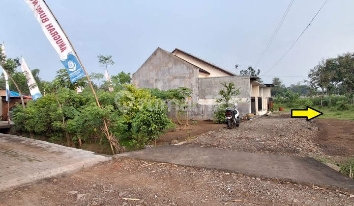 Tanah SHM Pakisjajar Timur Pasar Pakis Malang 13 x 13 = 169m2