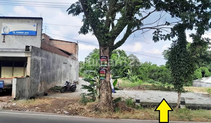 Tanah Kavling SHM Pinggir jL Raya Klampok Singosari Malang 