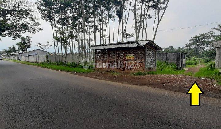 Tanah SHM Pakisjajar Pakis Malang Jual Cpt B.u Poll 100 M Dari Jl. Raya 1