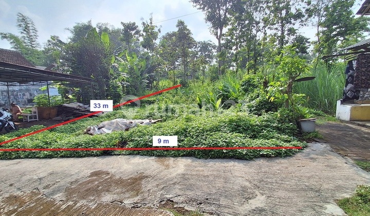 Tanah SHM Bugis Pakis Malang Posisi Hook Dijual Cepat B.u Poll Tanah SHM Bugis Pakis Malang Posisi Hook Dijual Cepat B.u Poll