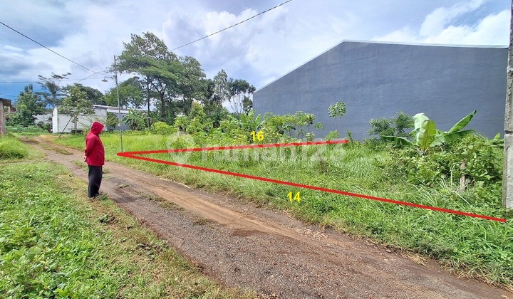 Tanah SHM Murah Randuagung Singosari Malang Dekat Exit Tol Lawang Tanah SHM Murah Randuagung Singosari Malang Dekat Exit Tol Lawang