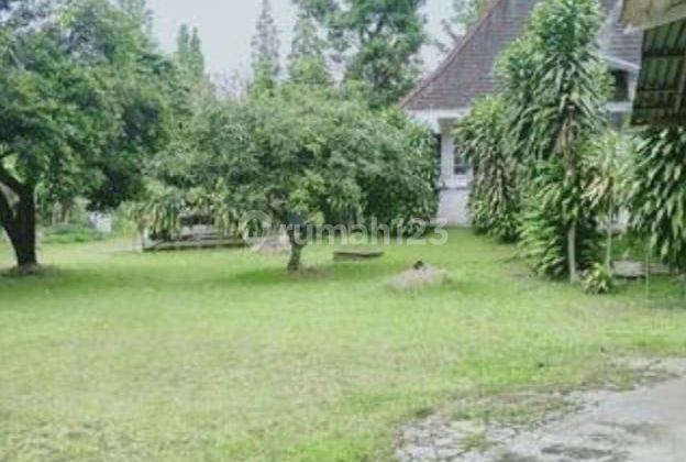 Tanah Murah di Mainroad Dago 7