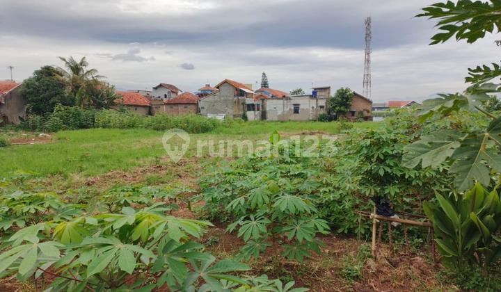 Tanah Padat Siap Bangun di Tanjungsari Cangkuang Bandung Tanah Padat Siap Bangun di Tanjungsari Cangkuang Bandung