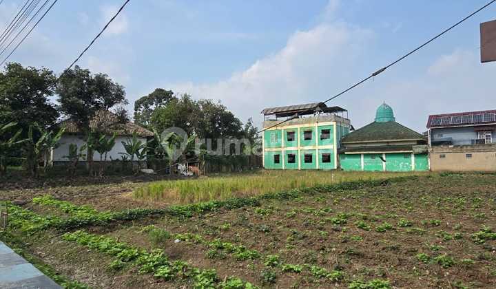 Tanah Murah Padalarang Dekat Kereta Cepat Padalarang Bandung Barat Tanah Murah Padalarang Dekat Kereta Cepat Padalarang Bandung Barat