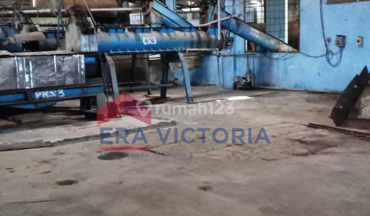 Pabrik Muncar Banyuwangi, Lengkap Dg Mesin Produksi Es Batu, Sarden, Tepung Ikan 6