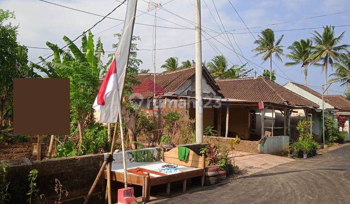 Tanah Luas Kawasan Sidomoro Kepanjen Malang Dekat Jalan Raya Panglima Sudirman 2