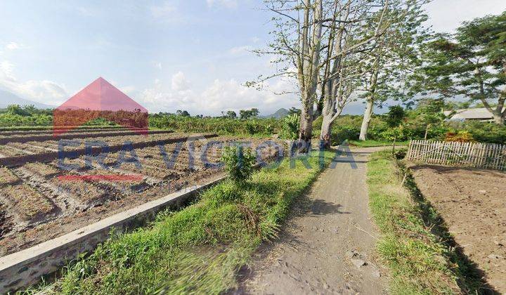 Jual Tanah Jalan Utama Batu Malang Cocok Untuk Membangun Guesthouse  2