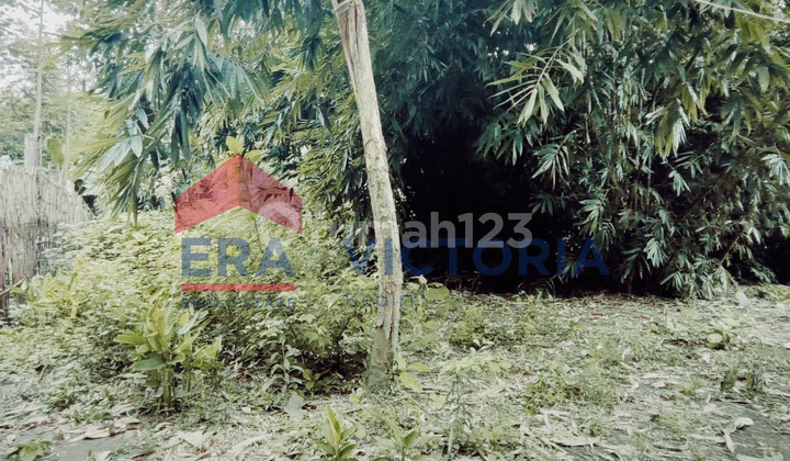 Land in Tugurejo, Ngasem, Kediri Regency Land in Tugurejo, Ngasem, Kediri Regency
