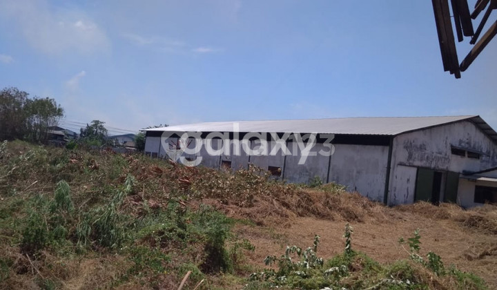 Land and Warehouse in Ngelom Megare, 3.5 million per meter.
