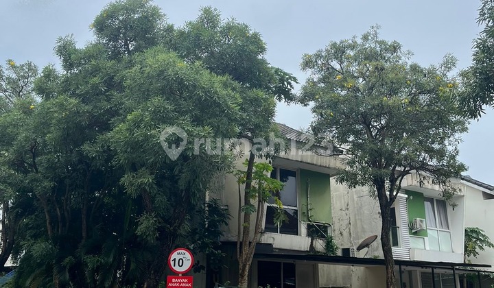 Rumah 2 Lantai Bagus Cluster Oleaster Gading Serpong  2