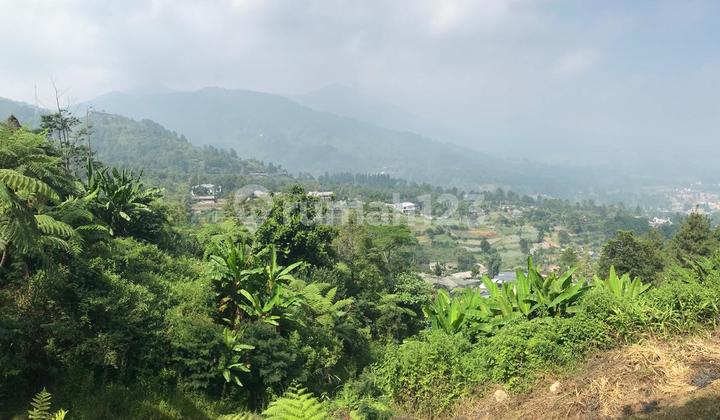 Land for Sale in Puncak 9000 M2 Suitable for Glamping and Villa