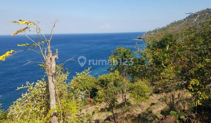 Tanah Tebing Los Pantai Bunutan Karangasem  1