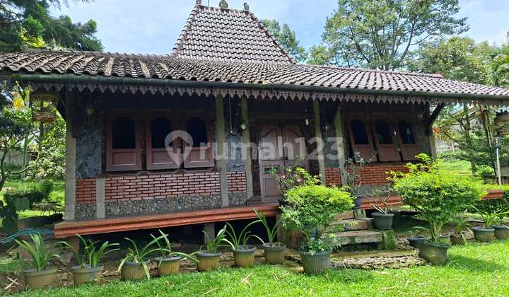 Villa View Gunungdengan Halaman Luas di Gunung Geulis Villa View Gunungdengan Halaman Luas di Gunung Geulis