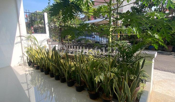 For Sale House in Bali Sentul Cluster 2