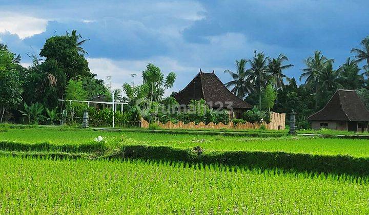 Murah Rumah Joglo Dan Tanah di Singakerta Banjar Tunon, Ubud Bali 1