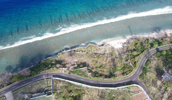 Tanah Super Premium Loss Tebing Dan Pantai di Nusa Penida 3