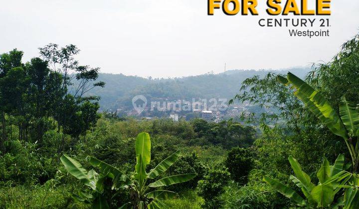 Murah Tanah Kebun 19.560 M2 di Desa Cikoneng, Ciwidey 1