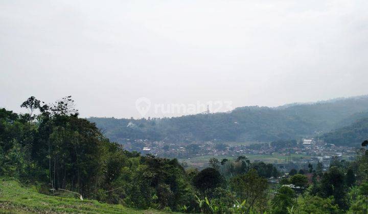 Murah Tanah Kebun 19.560 M2 di Desa Cikoneng, Ciwidey 2