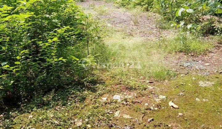 Disewakan Lahan Kosong Dekat Pintu Toll Grand Wisata Tambun di Cimuning Mustikajaya Bekasi 2