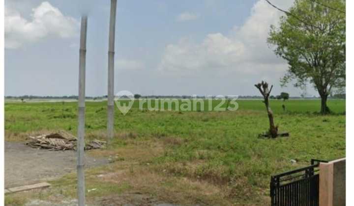 Strategic Land Only 7 Minutes to CBL Toll Road in Sukatenang Sukawangi Bekasi