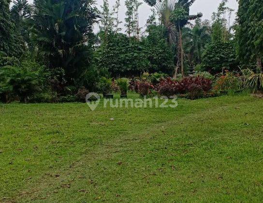 Tanah Lokasi Premium Dekat Podomoro City Tenjo Bogor 2