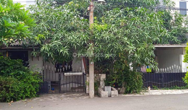 Dijual Cepat Rumah Tua Jalan 2 Mobil di Taman Nyiur Sunter , Bisa Nego  1