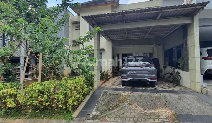 Cheap!******** Ready ******** ******** Kyota.180 Meters