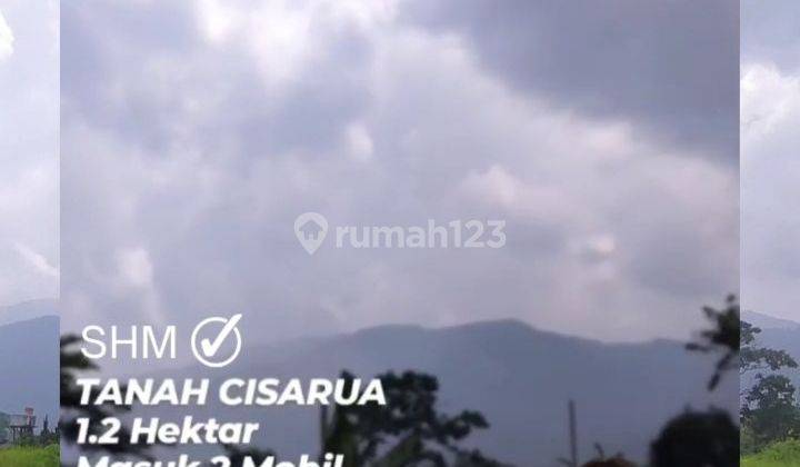 DIJUAL TANAH CISARUA BOGOR COCOK UNTUK WISATA 1