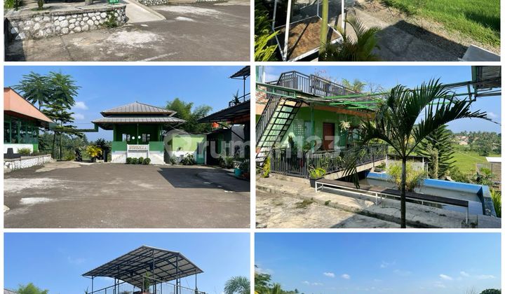 Dijual Cepat Tanah SHM dan Kafe 30 Menit Dramaga