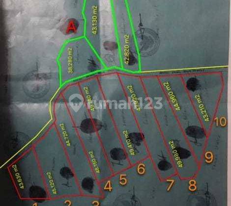 Dijual 2 Kavling Tanah untuk berinvestasi - Lokasi Strategis Di Daerah Labuan Bajo NTT. 2