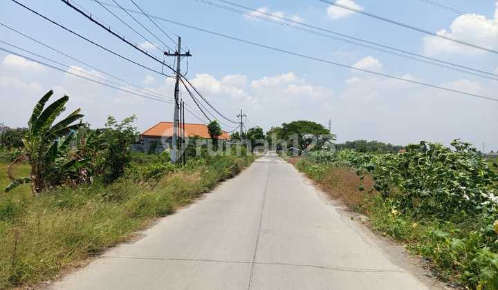 Tanah Sawah Nol Jalan Rencana Ring Road Tanah Sawah Nol Jalan Rencana Ring Road