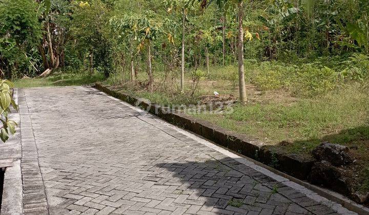 Tanah Pekarangan Luas Dalam Kota 1