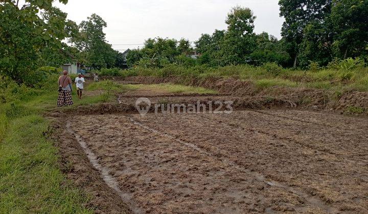 Tanah di Tepi Jalan Raya Tikung Cocok Buat Gudang 3