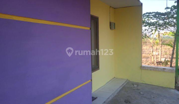 Rumah Murah Lingkungan Desa  1