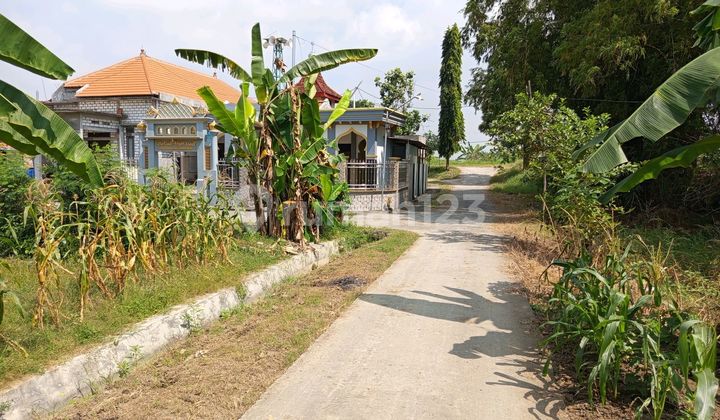 Cheap Land Near the City