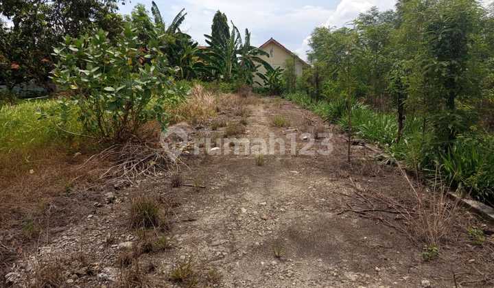 Cheap Land Ready to Build