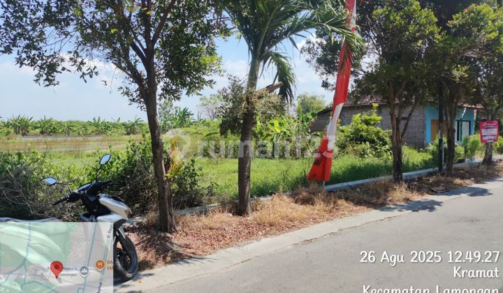 Tanah Samping Selatan Masjid Namira Lamongan Tanah Samping Selatan Masjid Namira Lamongan