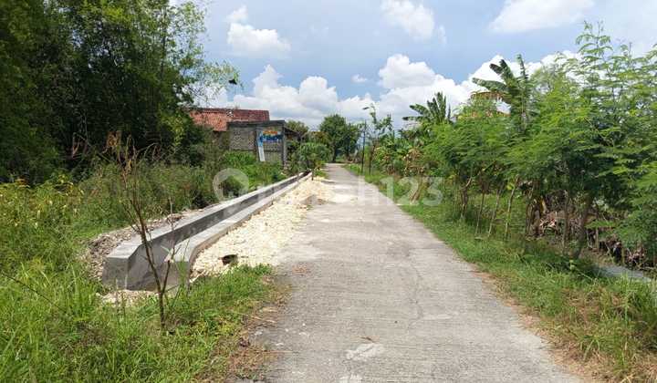 Zero Land, Kebet Village Street, Lamongan