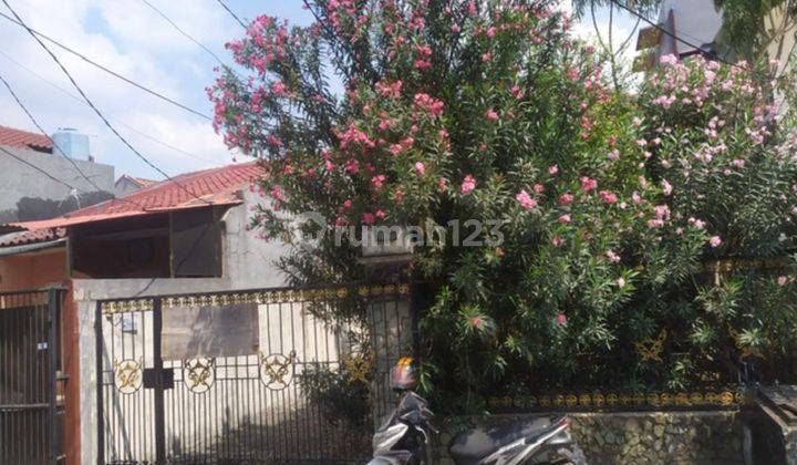 Rumah Tua Jalan Bumi Indah LT 395mtr Kebun Jeruk Jakarta Barat 1