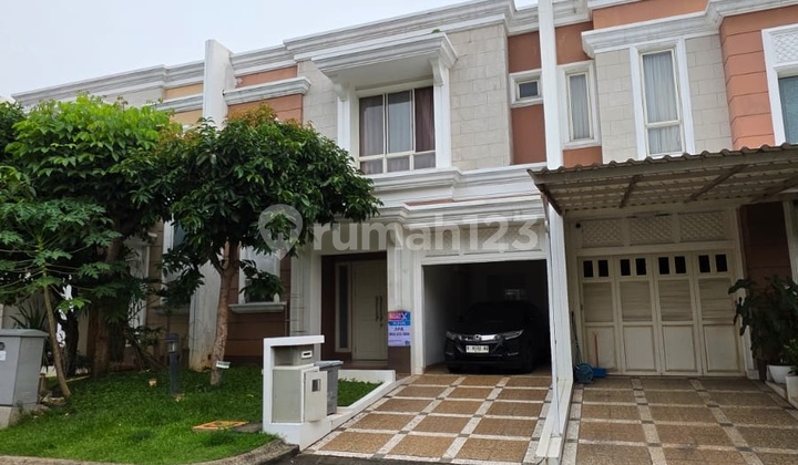 Flamingo Cluster House The Spring Gading Serpong