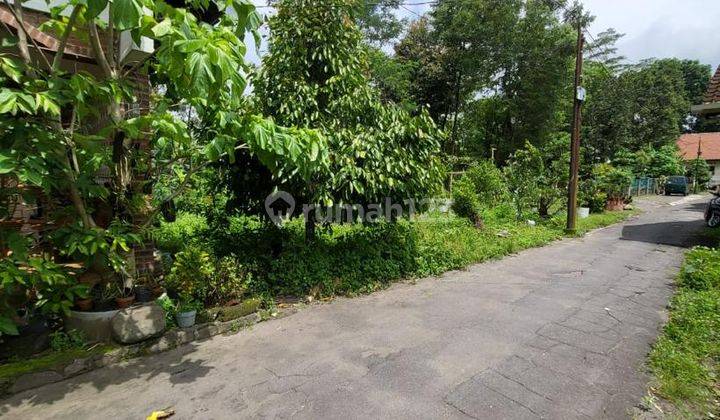 Tanah Pekarangan Sleman 3 Menit Muara Kapuas Cocok Untuk Hunian  2