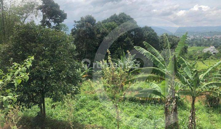 Dijual Cepat Pabrik Dan Gudang di Bogor Strategis Luas Dan View Gunung 3