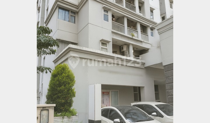 Disewakan Shop House Mediterania garden 2 Hadap Selatan Disewakan Shop House Mediterania garden 2 Hadap Selatan