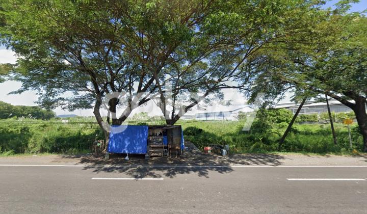 Tanah Raya Beji Cangkringmalang Pasuruan 1,9 Juta Permeter dekat dengan Pandaan 1