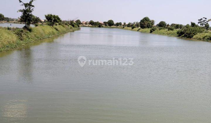 Tanah Tambak Semampir Cerme Gresik 300 Ribu Permeter 1