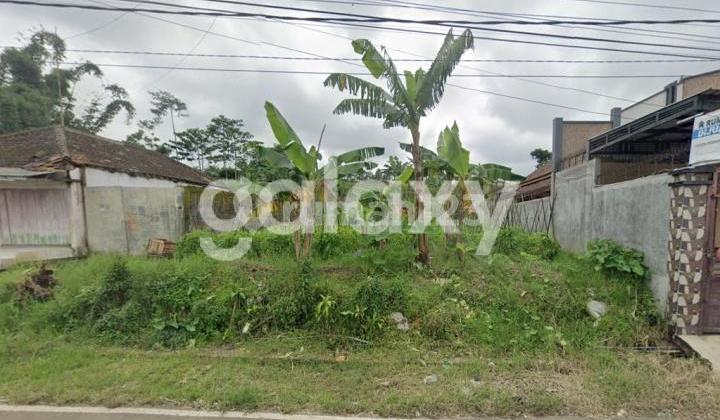 Tanah Gendro Tutur Pasuruan 600 Ribu permeter