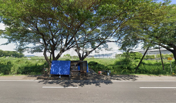 Tanah Raya Beji Cangkringmalang Pasuruan 1,65 Juta Permeter Lokasi Strategis